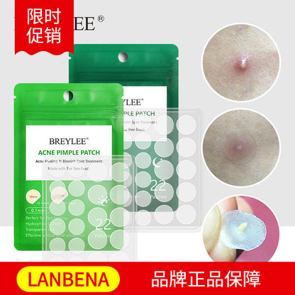 BREYLEE Tea Tree Acne Patch Daily Use Night Use Acne Patch Lighten Acne Mark Ultra-Thin 0.1mm Acne Patch OEM