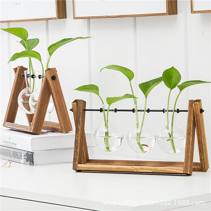 Creative wooden frame hydroponic vase green dill plant glass flower living room small container office desktop decoration ornaments