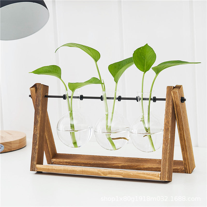 Creative wooden frame hydroponic vase green dill plant glass flower living room small container office desktop decoration ornaments